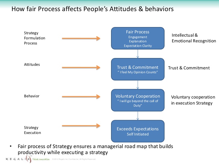 公平过程如何影响人们的态度和行为